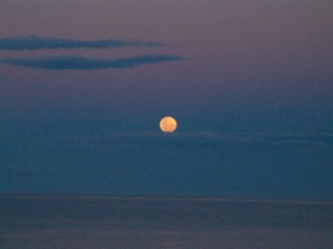 Moon over the ocean, early evening 18 July 2008