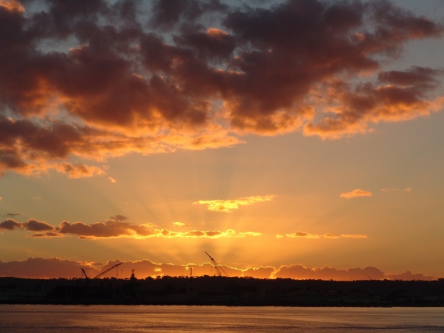 Sunset with Cranes San Diego Bay 6 December 2013