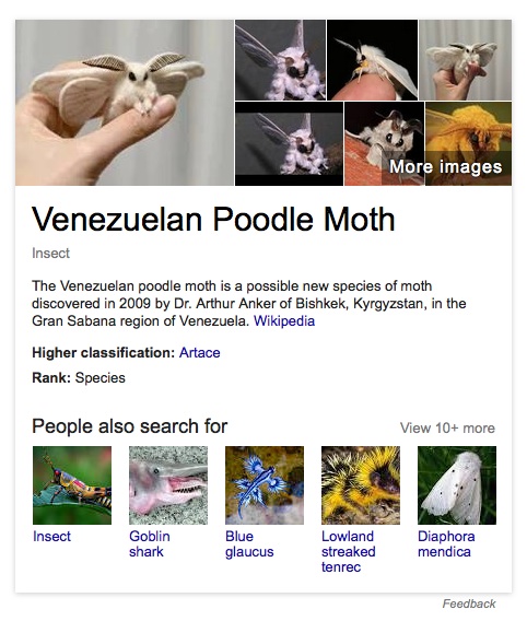Google results for Venezuelan Poodle Moth